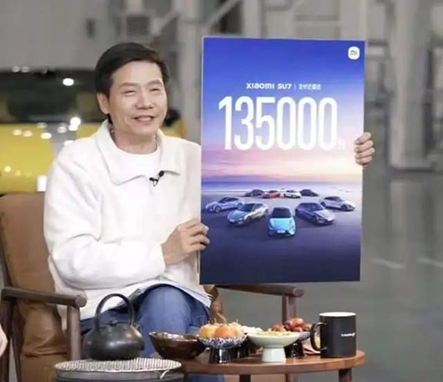 Lei Jun Consultation