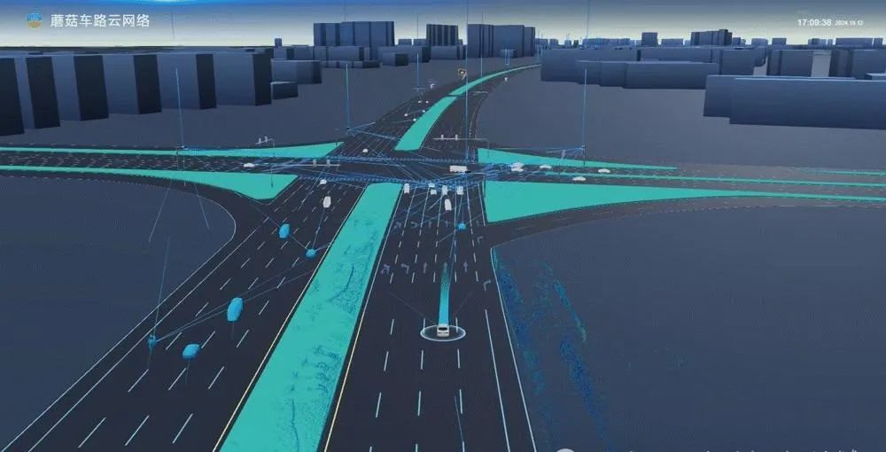 City-Level Ecosystem