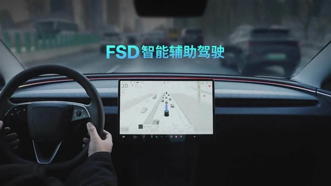 FSD Issues in China