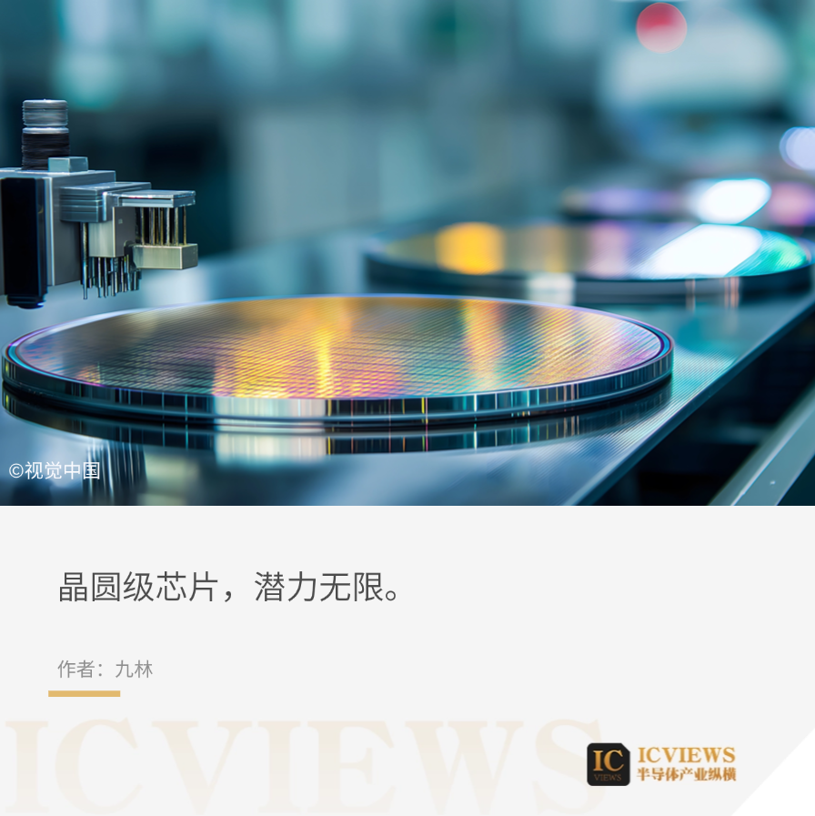 Wafer-scale Chips