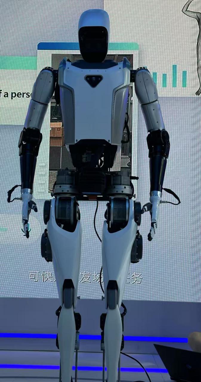 Qinglong V3.0 Humanoid Robot