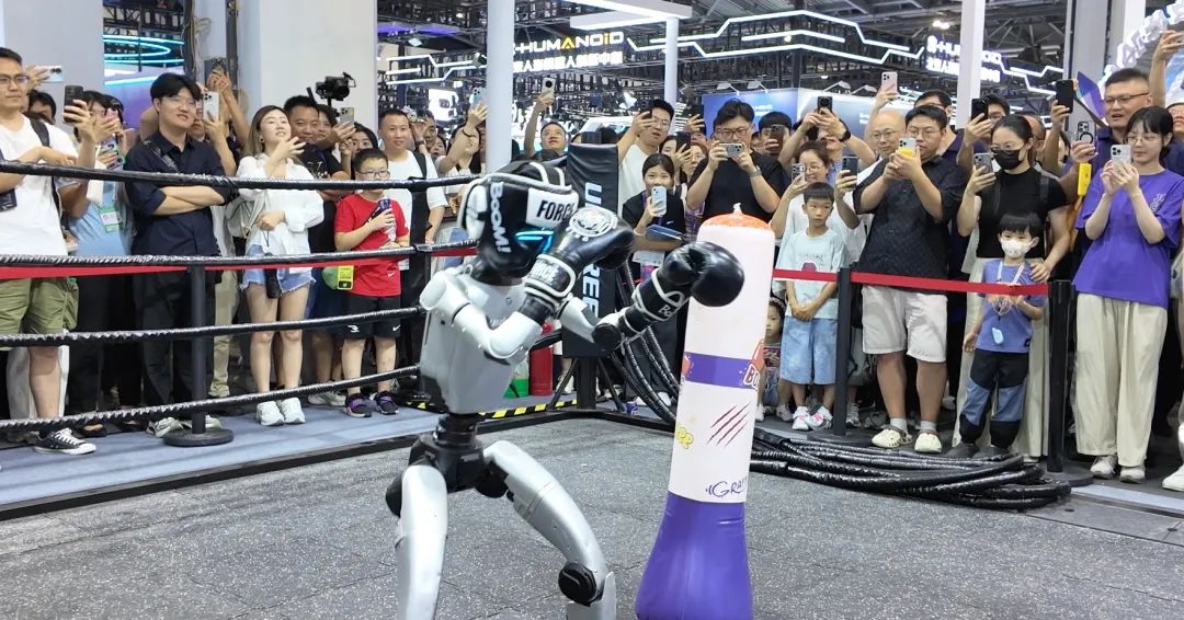 Unitree H1 Humanoid Robot