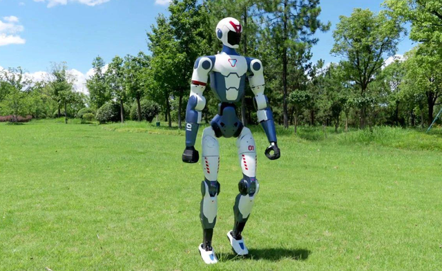 Price decline of humanoid robots