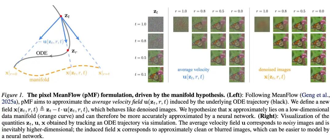 Manifold assumption diagram