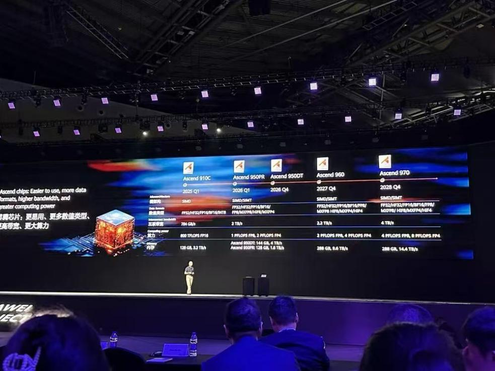 Domestic AI chips